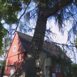 Kuusisto06