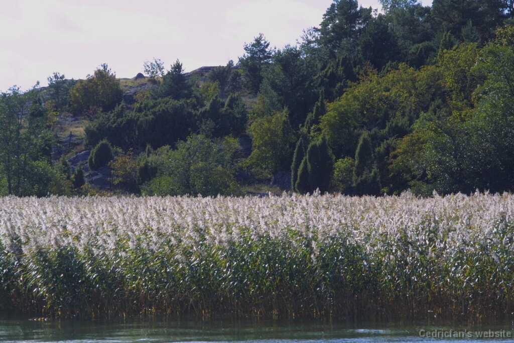 Untitled-37