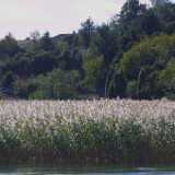 Untitled-37