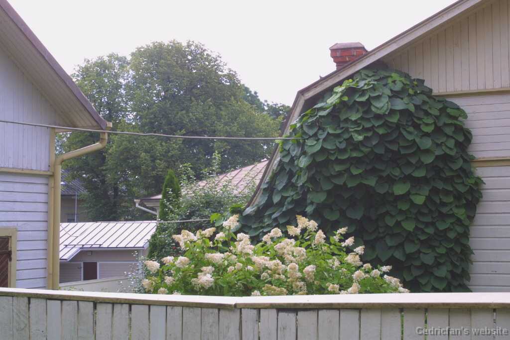 n05