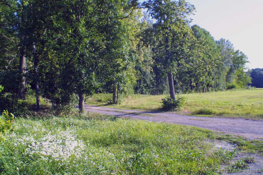 Ruissalo09