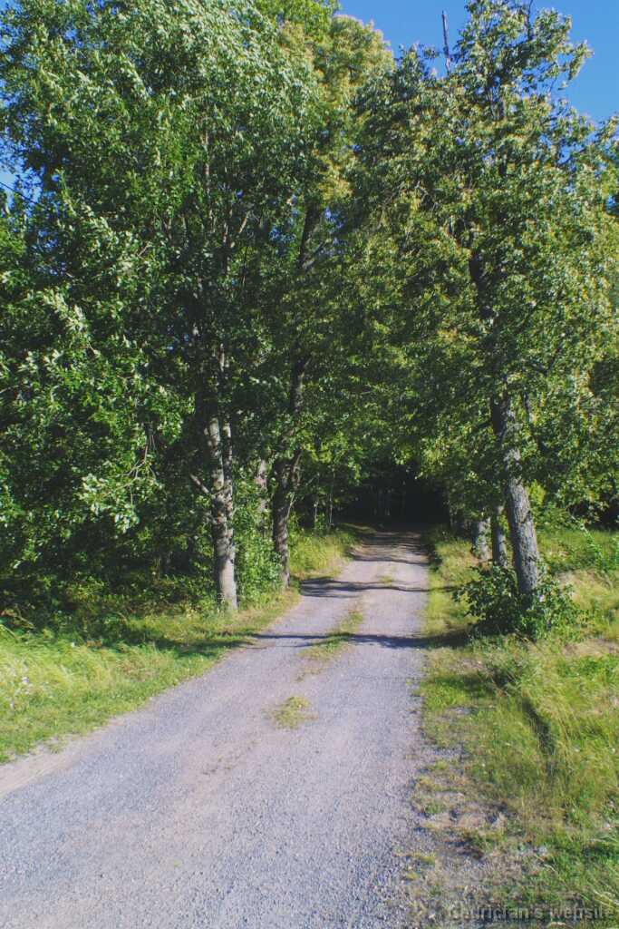 Ruissalo11