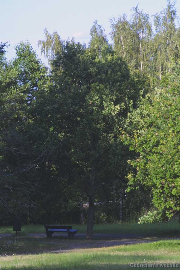 Ruissalo17
