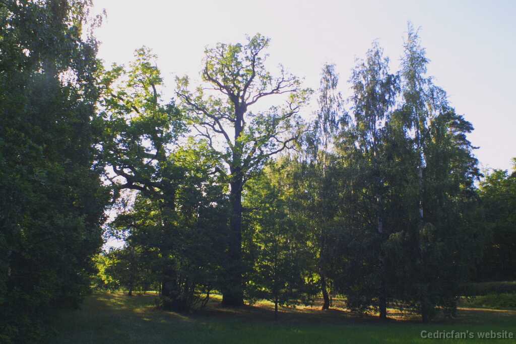 Ruissalo21