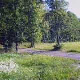 Ruissalo09