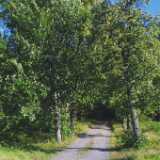 Ruissalo11