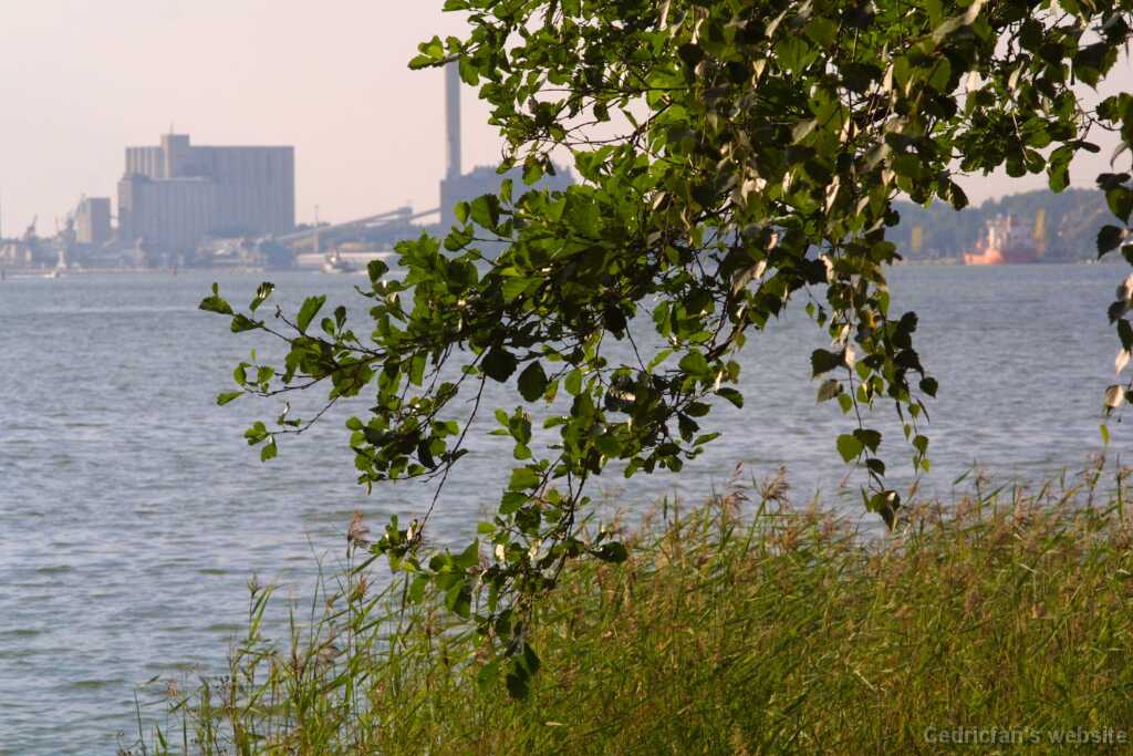 Saaronniemi03