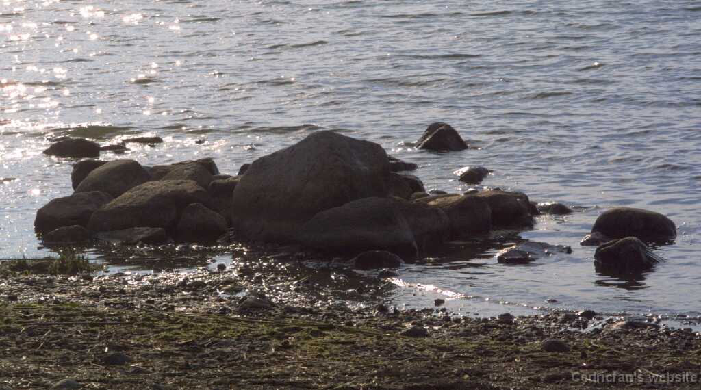 Saaronniemi05