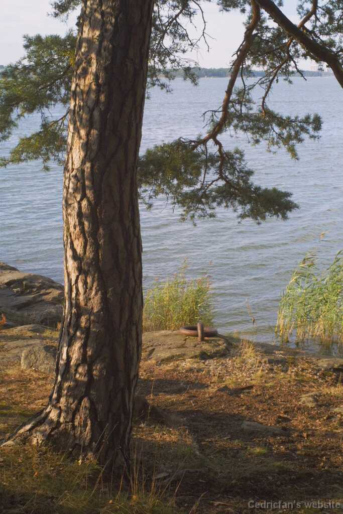 Saaronniemi11