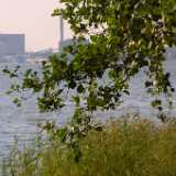 Saaronniemi03