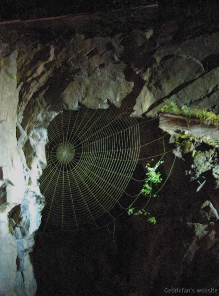 IMG_0632_For_Spiderman
