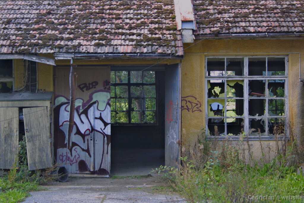 IMG_0532_Why