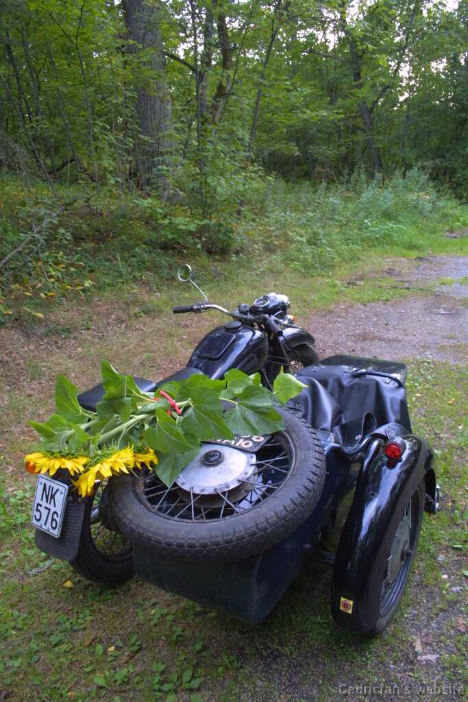 Dnepr6