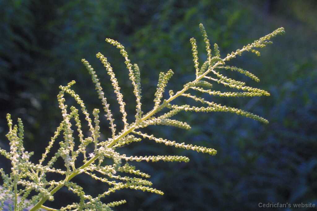 Untitled-12