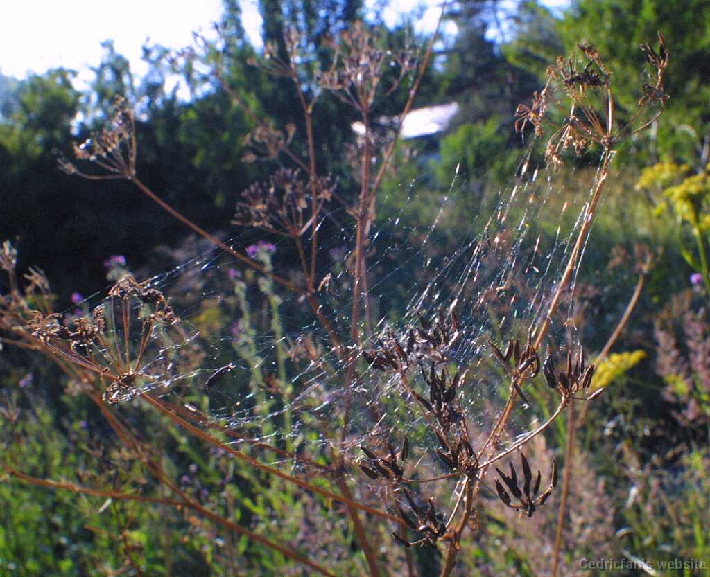 Untitled-32