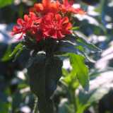 Untitled-11