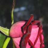 Untitled-17