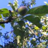 Untitled-19