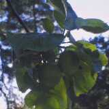 Untitled-20