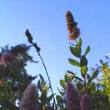 Untitled-26
