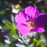 Untitled-29