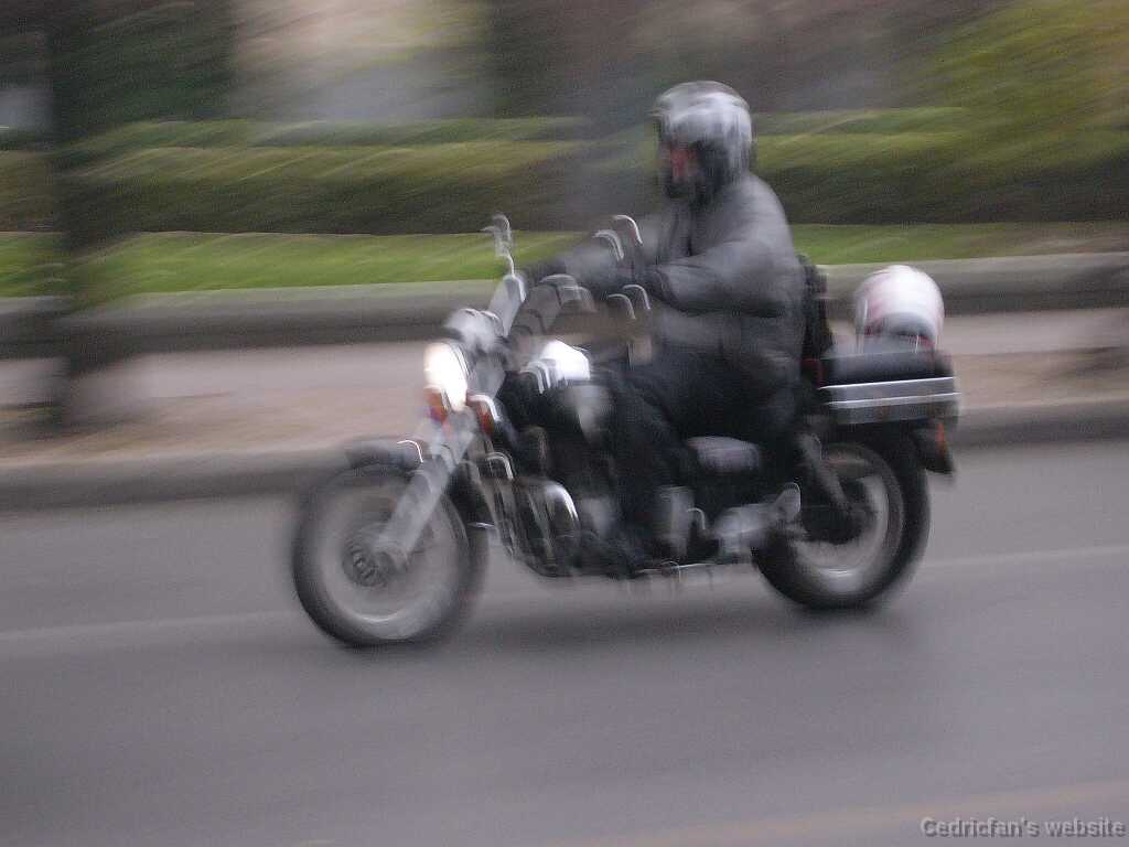 L1000417