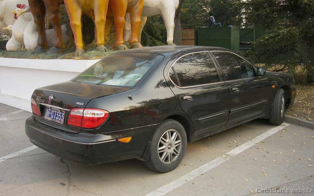 maxima1