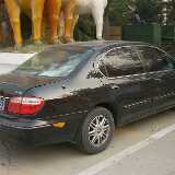 maxima1