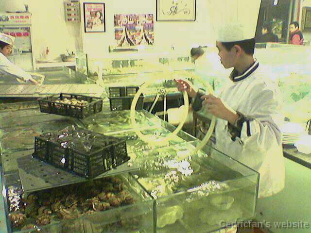 L1000516_Living_Seafood