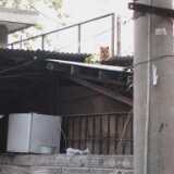 L1000493_Alleycat