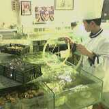 L1000516_Living_Seafood