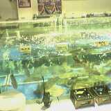 L1000517-Seafood_restaurant