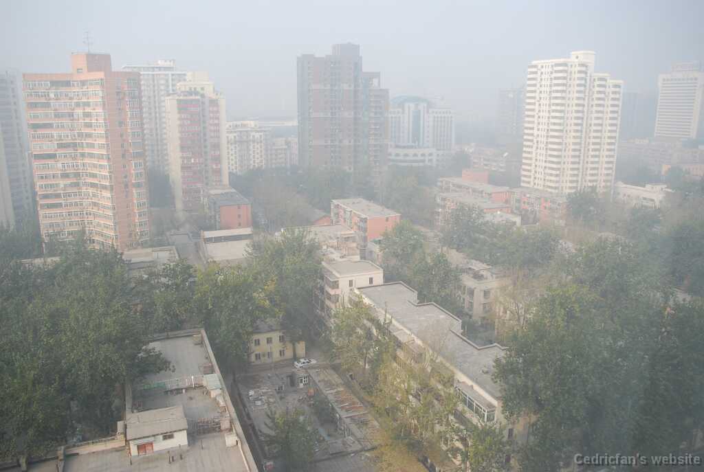 DSC_0004_Smog