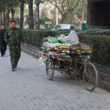 DSC_0120_recycling