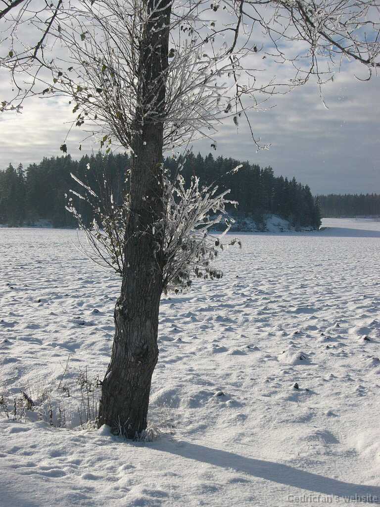 L1000389