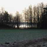 Xmas Ruissalo