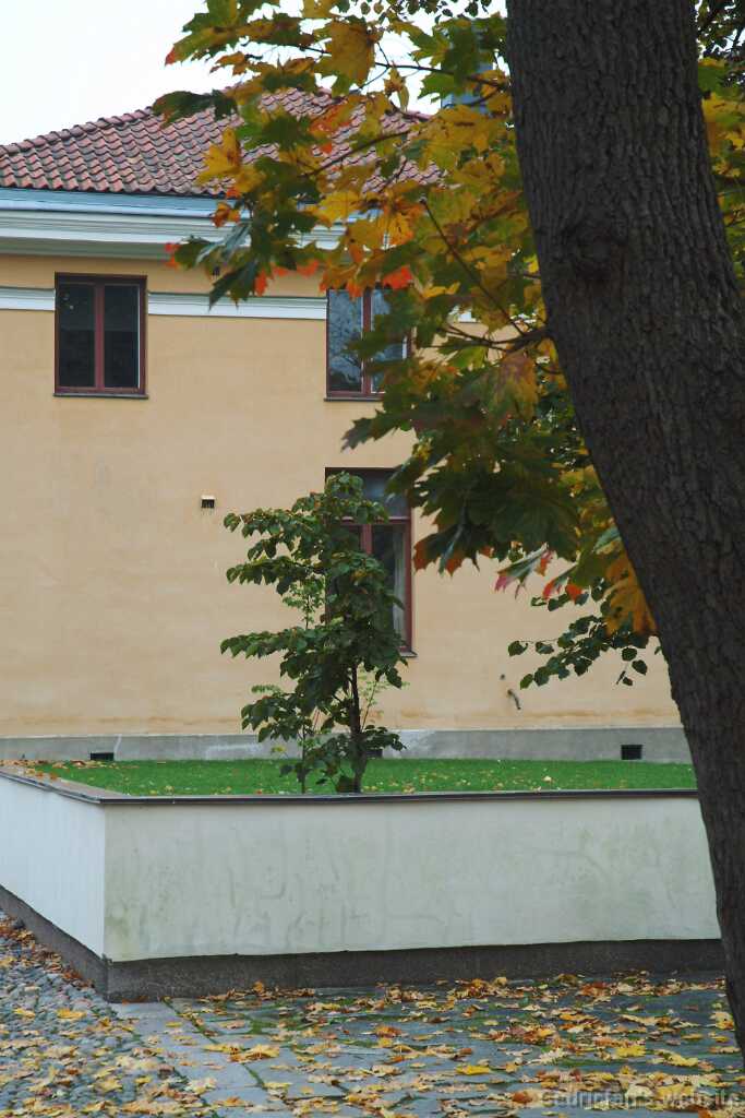 DSCF1024