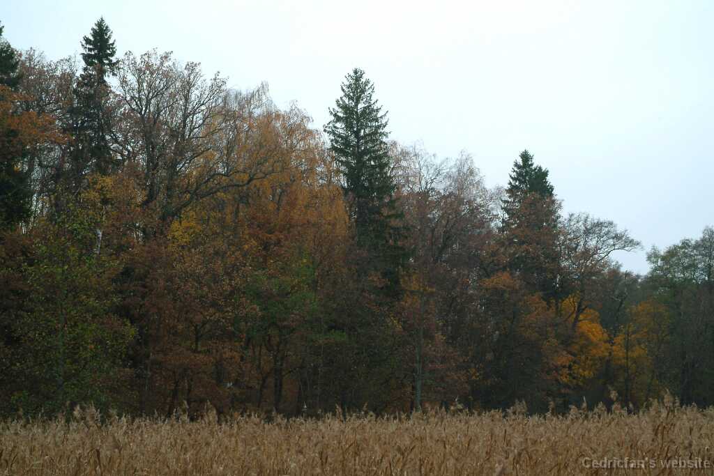 DSCF1153