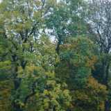 DSCF1008