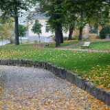 DSCF1020