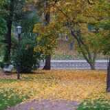DSCF1022