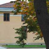 DSCF1024