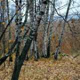 DSCF1144