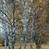 DSCF1145