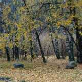 DSCF1147