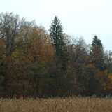 DSCF1153