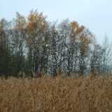 DSCF1154