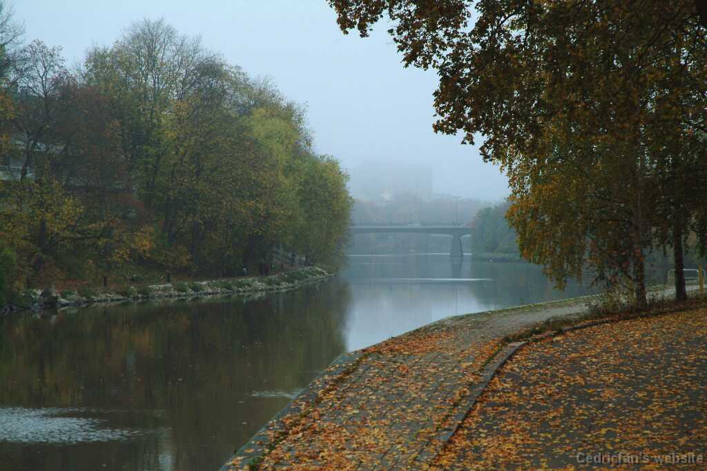 DSCF0975
