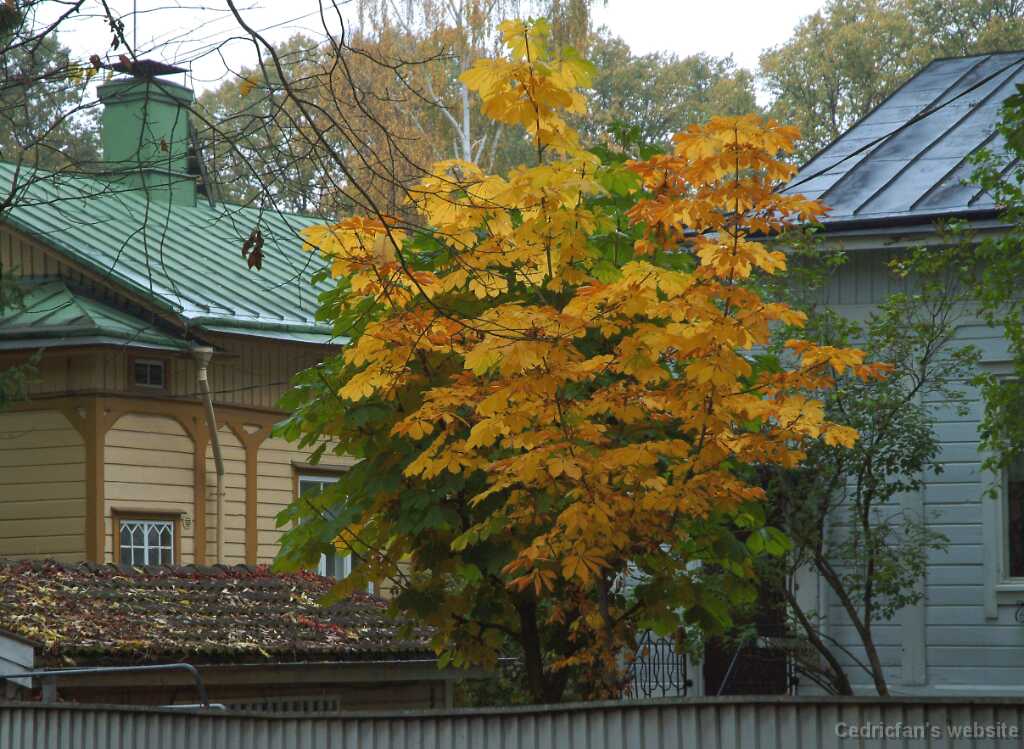 DSCF0987