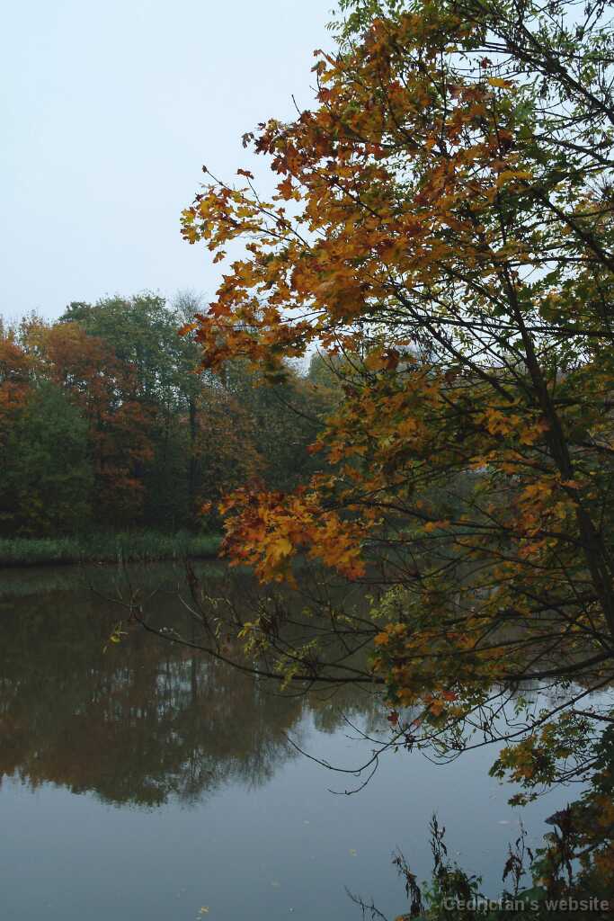 DSCF0997